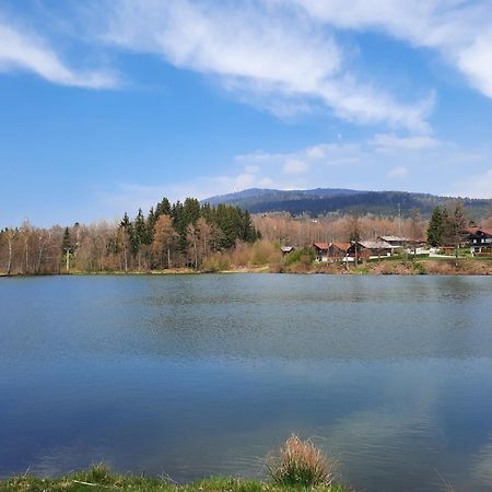 Fewo Bayerischer Wald Im Lamer Winkel Аррах Экстерьер фото