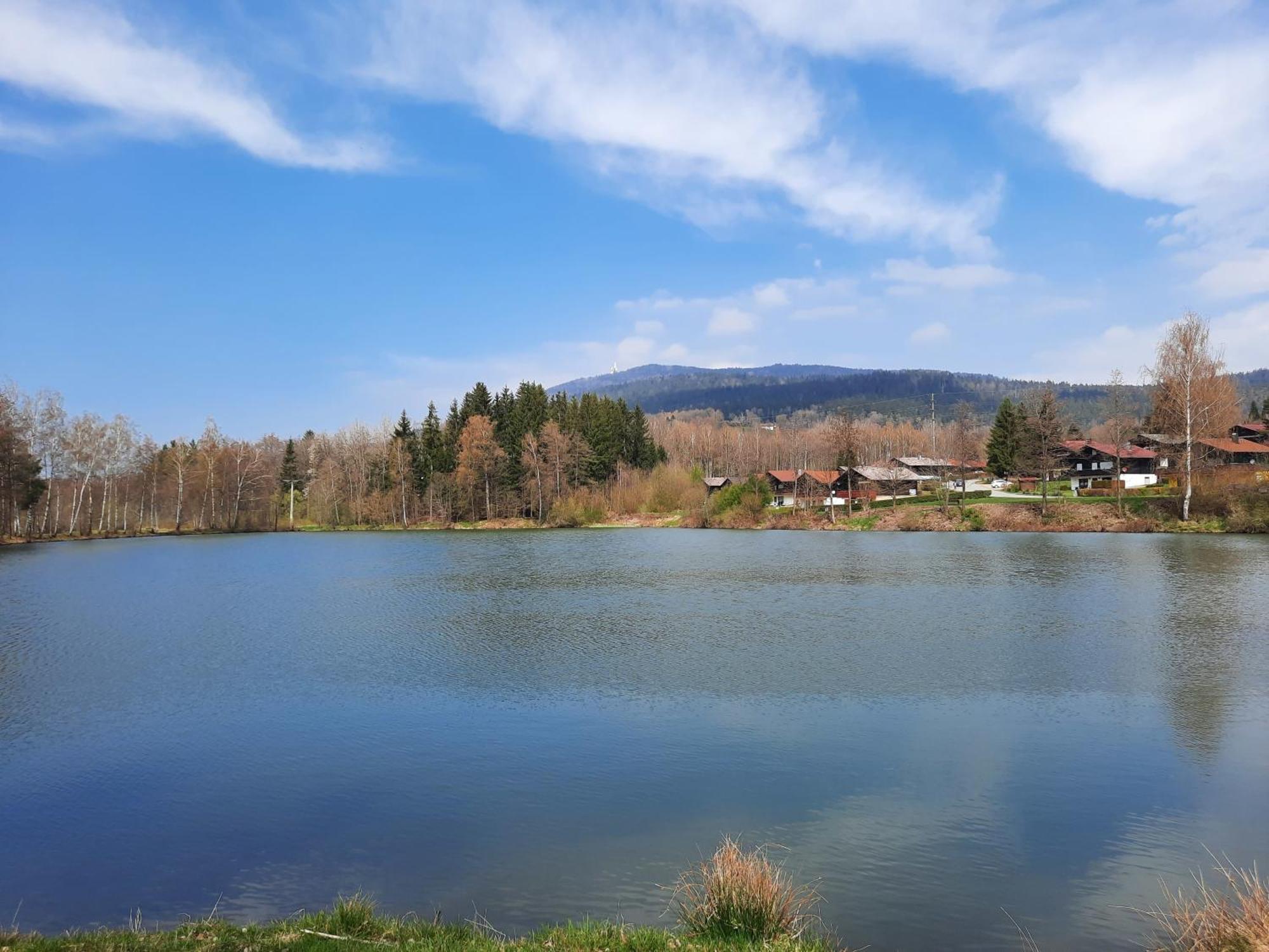 Fewo Bayerischer Wald Im Lamer Winkel Аррах Экстерьер фото